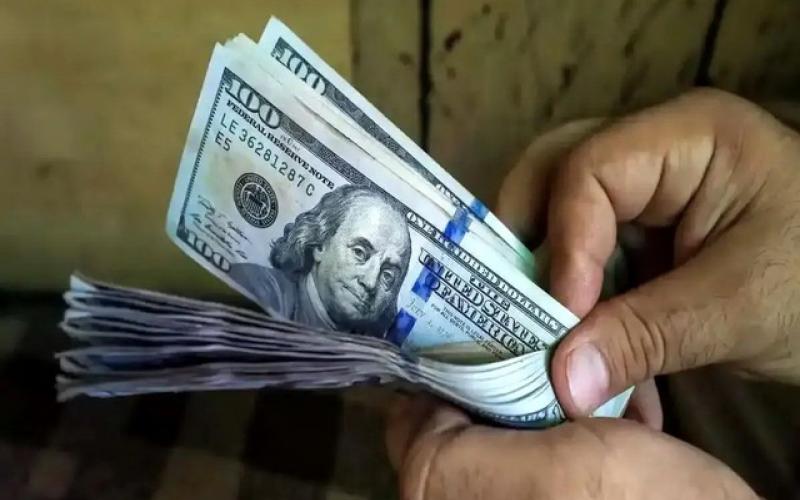 دلار 