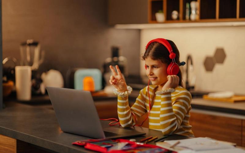 مدارس مجازی