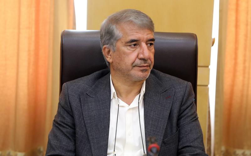 احمد انارکی محمدی