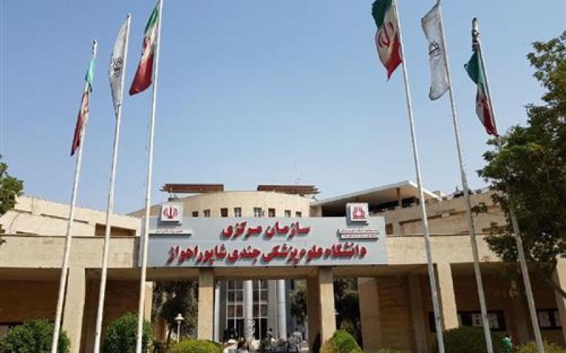 دانشگاه