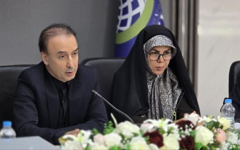 محمد حاتمی زاده