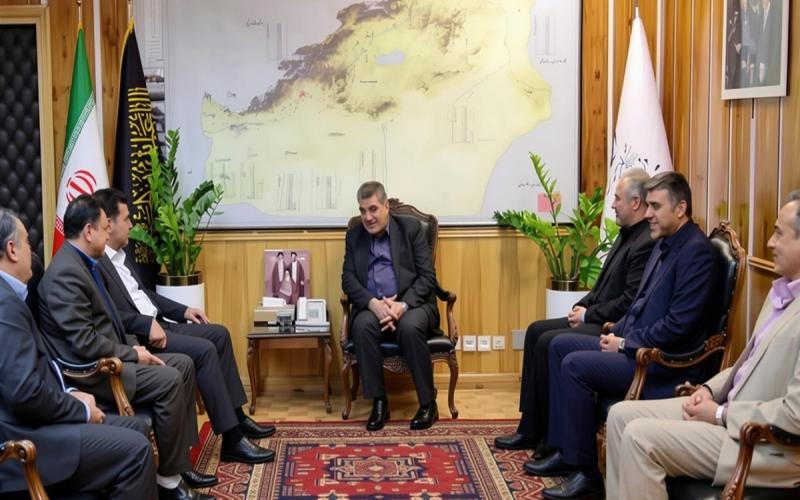 زارعیان