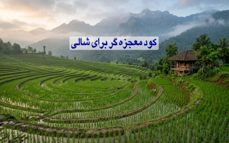 کود