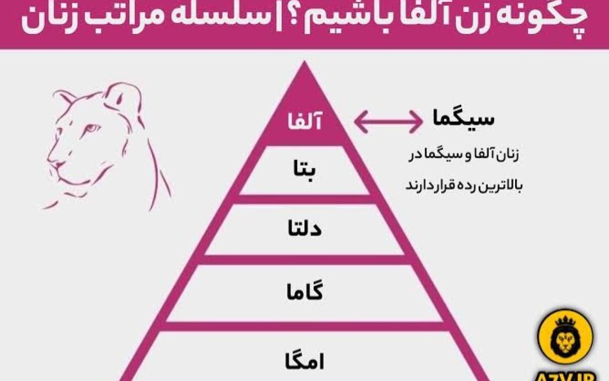 تولد