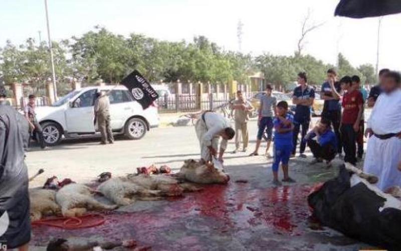 حقوق و مزایای ماهانه یک داعشی چقدر است؟