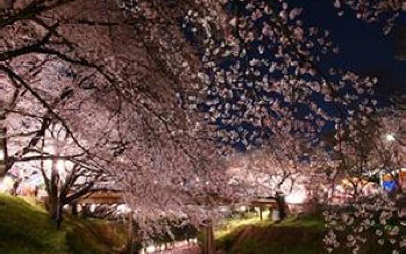 9 شهر مناسب برای زندگی در جهان