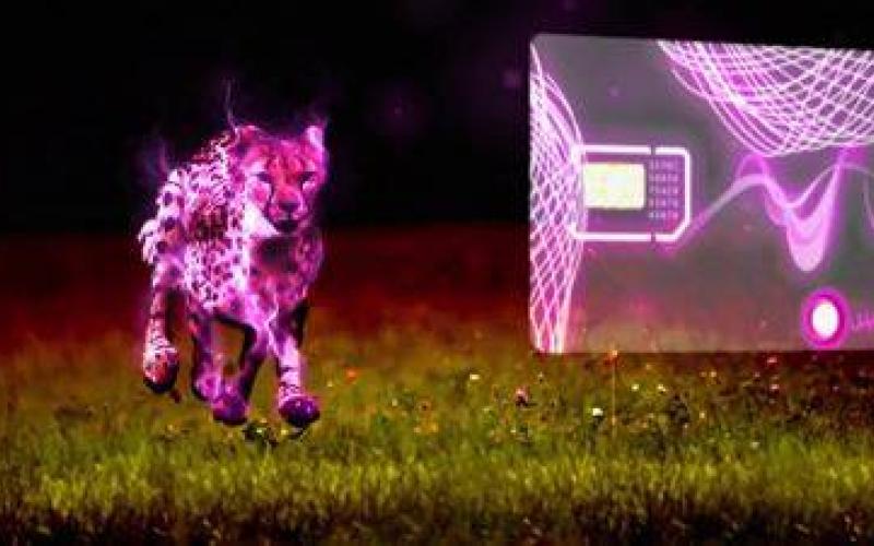 فارس خبر داد: با آغاز رومینگ ملی از نیمه شعبان، آنتن‌دهی رایتل تکمیل می‌شود