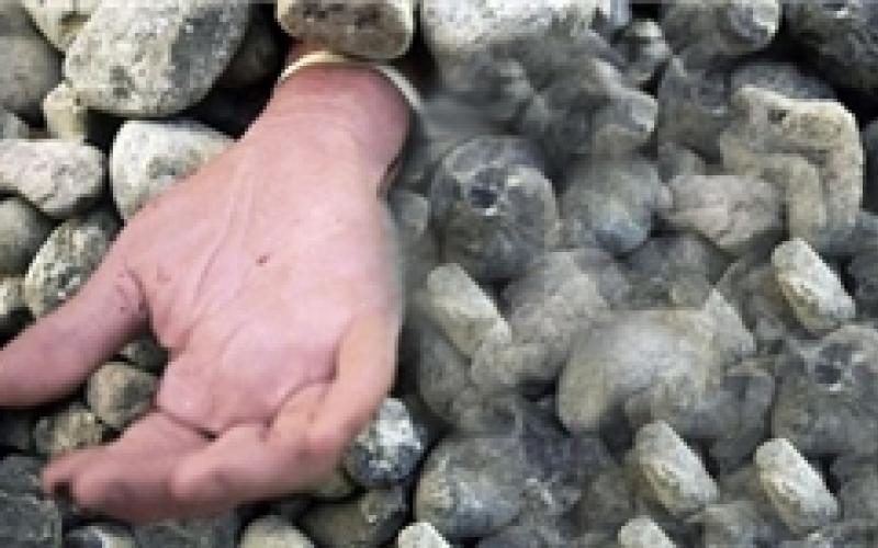 سنگسار دختر سوری توسط "داعش" برای عضویت در فیس‌بوک