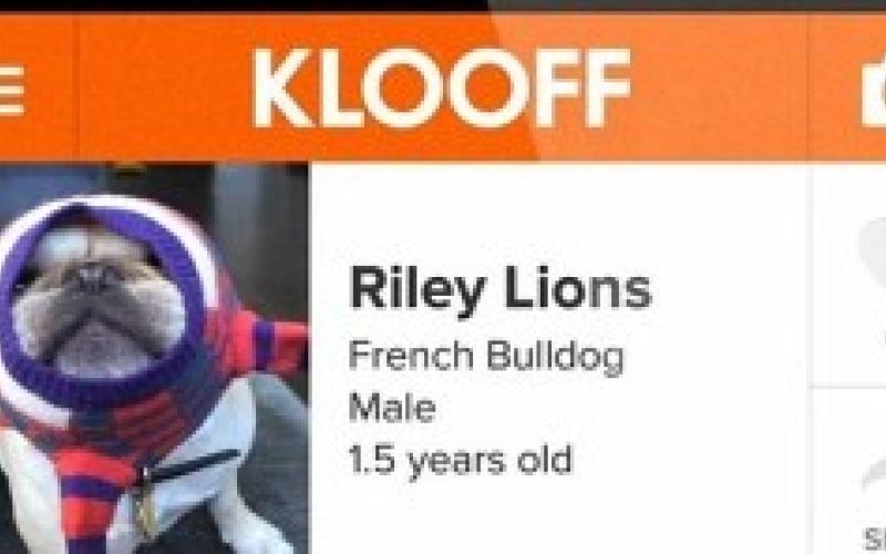 راه‎اندازی شبکه اجتماعی مخصوص حیوانات 