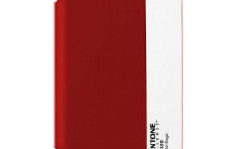 مینی آی پدهای رنگارنگ اپل + عکس 