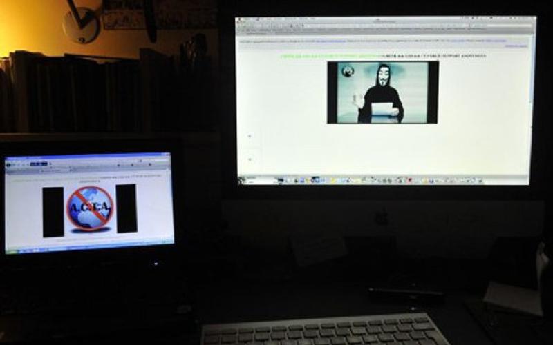 نکات کلیدی برای اینکه طعمه سارقان سایبری نشوید! 