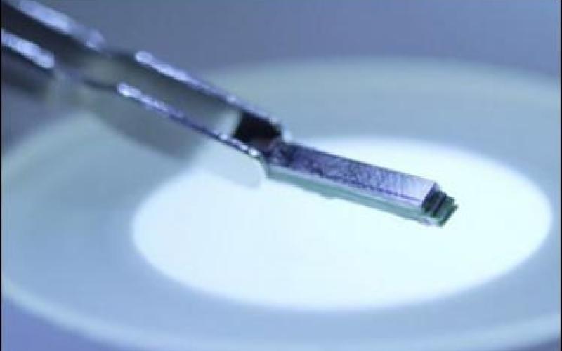 مونیتور فشار خون با تلفن همراه