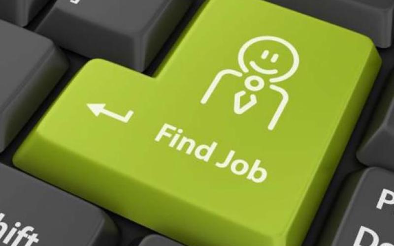 کلاهبرداری از جوانان جویای کار در فضای وب