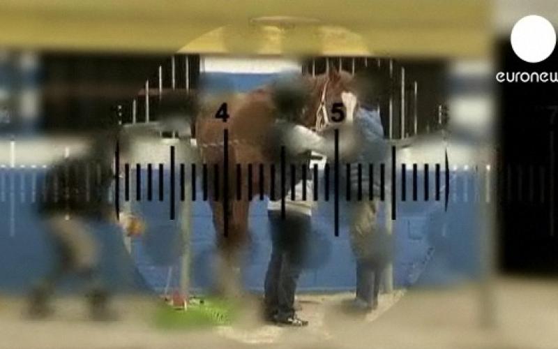 رهایی از اعتیاد به اینترنت با اسب سواری