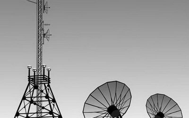 وزیر بهداشت: پارازیت‎ها هیچ تاثیری بر سلامت مردم ندارد