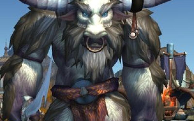 دسترسی ایرانیان به بازی "ورلد آو وارکرافت" قطع شد!