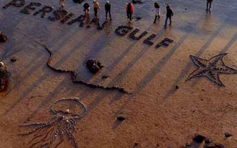 حسین علایی: ایران باید علیه حذف نام خلیج فارس از نقشه‎ی گوگل به مجامع بین‌المللی شکایت کند 