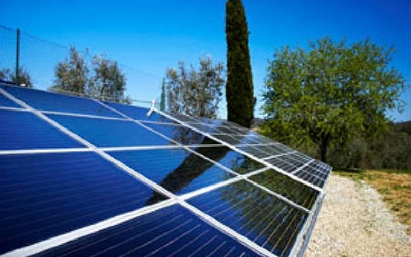 افتتاح یکی از بزرگترین مزارع خورشیدی جهان توسط شارپ در ایالت تنسی امریکا + تصاویر