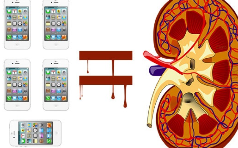 یک نوجوان برای خرید گوشی آیفون، کلیه‌اش را فروخت!