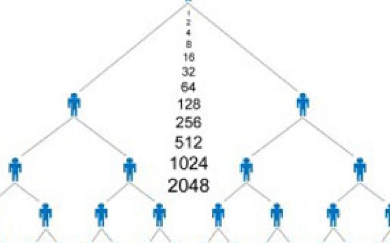 دستگیری مدیر و لیدر اصلی شرکت غیرقانونی هرمی “تراست اینوست”