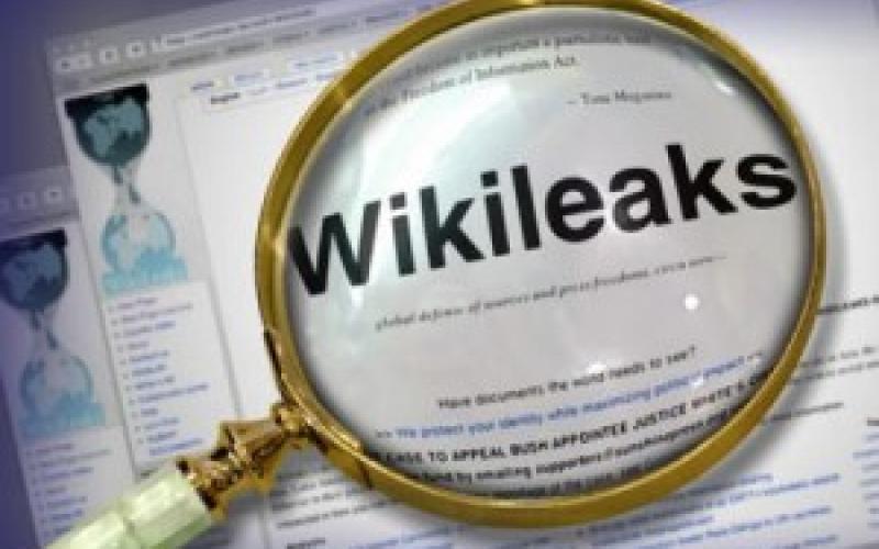 ویکی‌لیکس کارش را متوقف کرد 