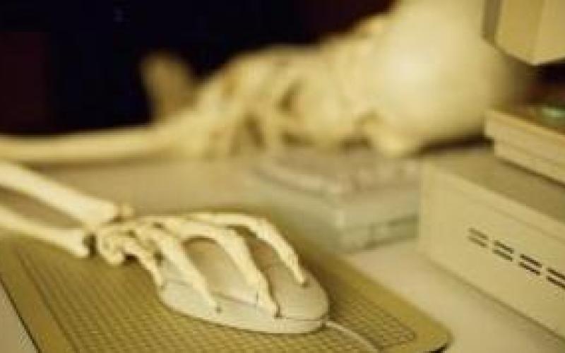 آثار هرزه گردی در اینترنت