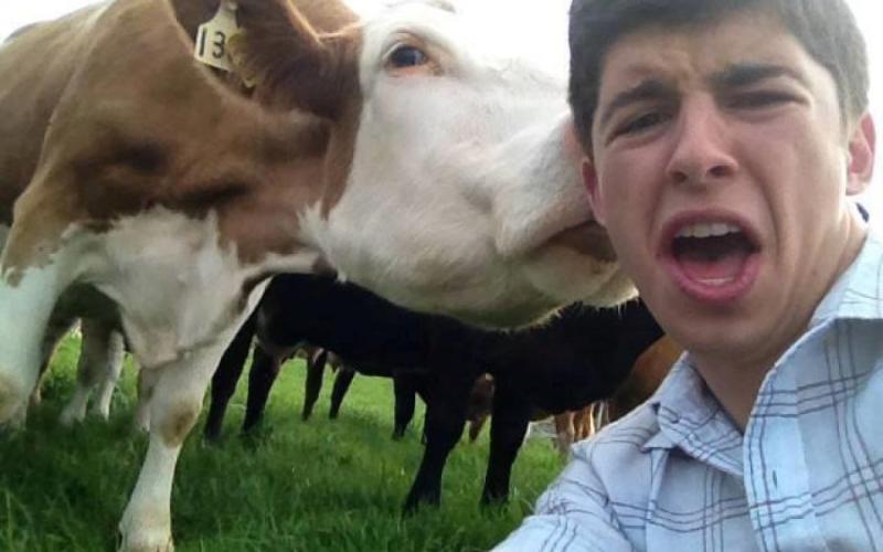 به جای سلفی، فلفی بگیرید (+تصاویر) 