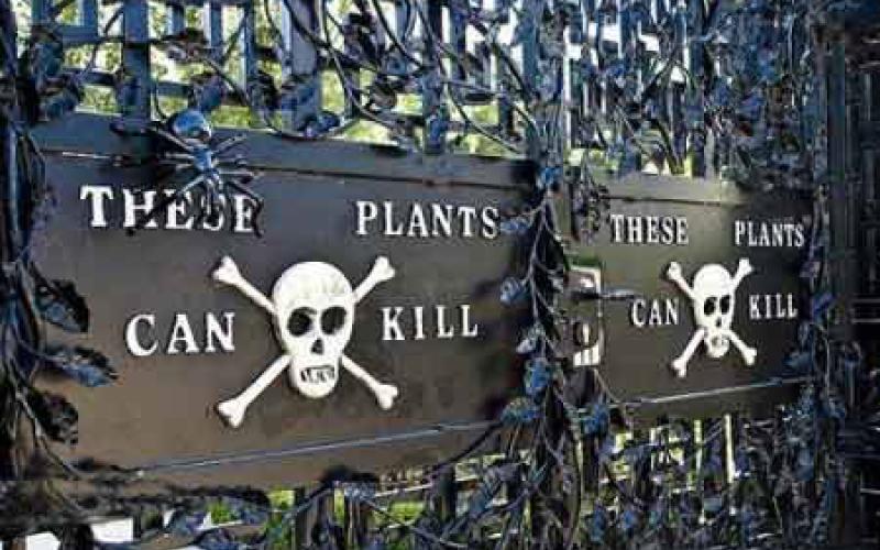 10 مکان مخوف در دنیا که جرات حضور در آنها را ندارید! (+تصاویر)