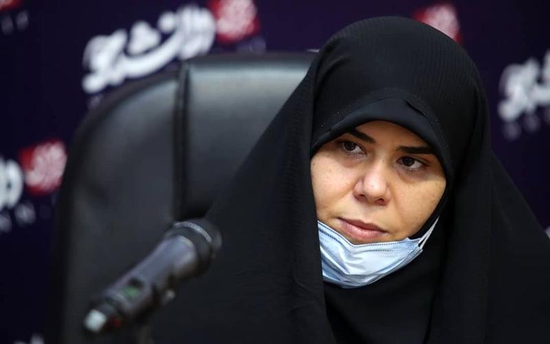 قاسم‌پور، نماینده مجلس: در مجازی‌شدن کلاس‌های دبستان در پی آلودگی هوا شرایط مادران شاغل لحاظ نمی‌شود