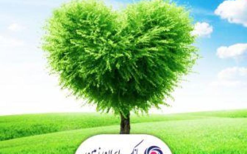 اسامی برندگان جوایز کمپین «همین یک زمین»