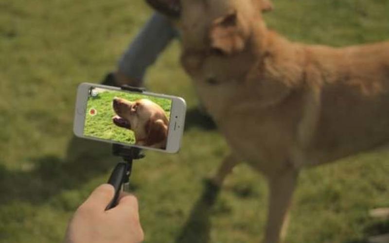 حذف لرزش دست هنگام عکسبرداری با موبایل 