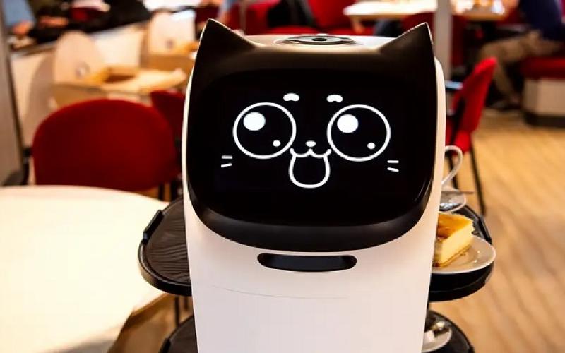 ربات پیشخدمت؛ کمکی بزرگ برای کارکنان یک هتل در آلمان