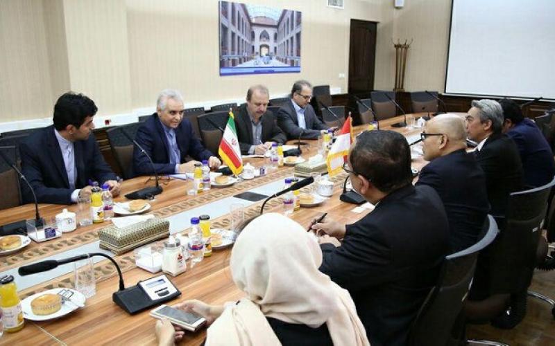 دیدار معاون وزیر خارجه اندونزی با قائم مقام وزیر ارتباطات در امور بین الملل