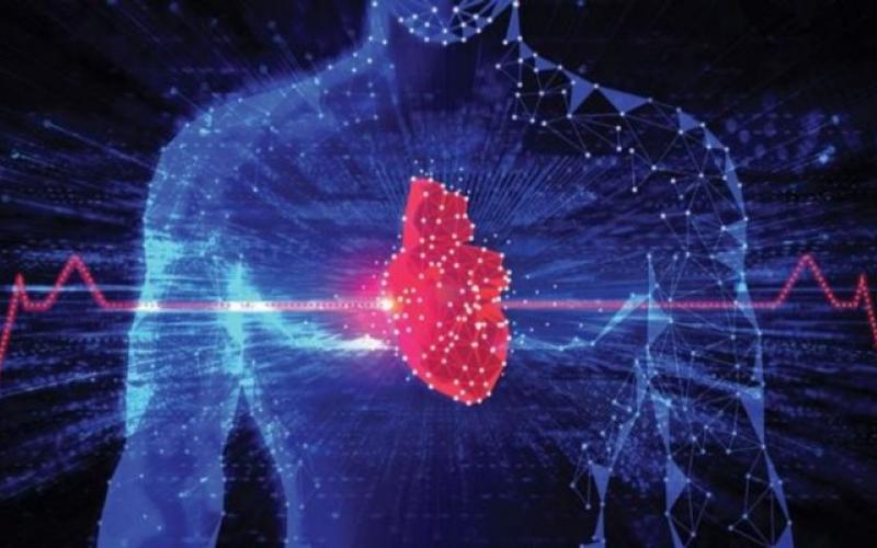 آیا هوش مصنوعی می‌تواند بیماری‌های قلبی را تشخیص دهد؟