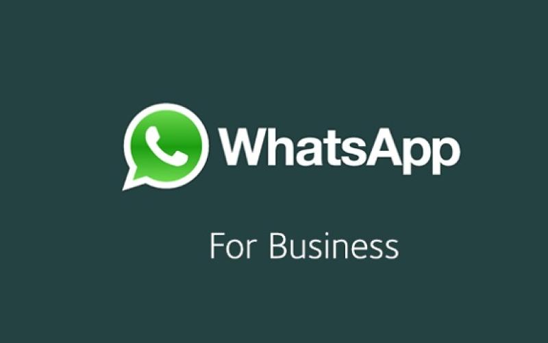 معرفی قابلیت‌های جدید واتس اپ تجاری