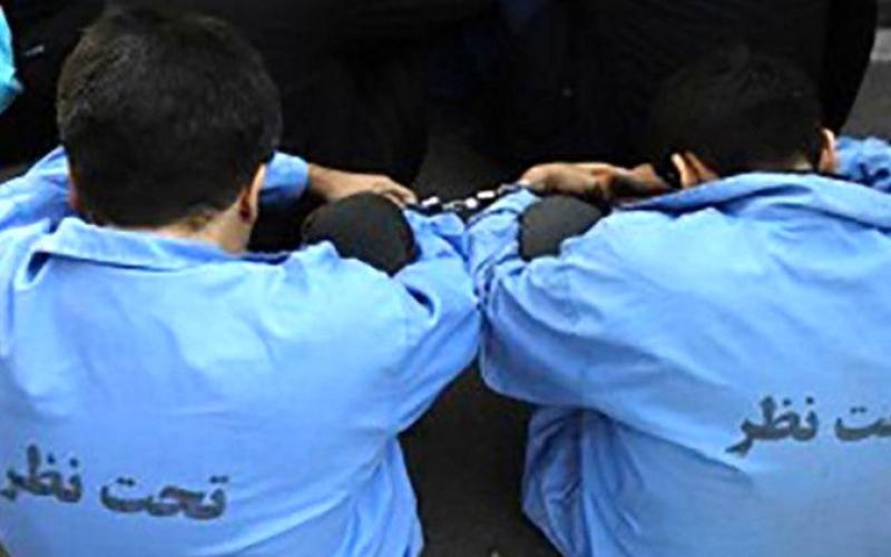 ربودن خانم استاد دانشگاه فرانسه در میدان ونک