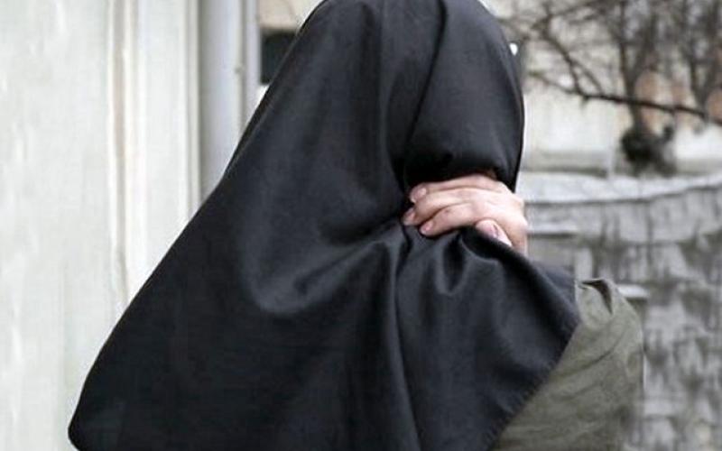 شایان در لانه مجردی هستی ام را گرفت