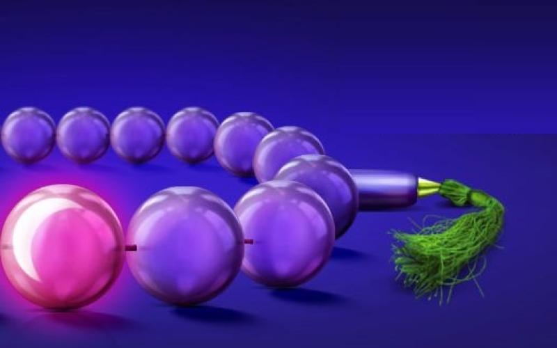 600 دقیقه تماس درون شبکه‌ی ماه رمضان رایتل با 17 هزار تومان