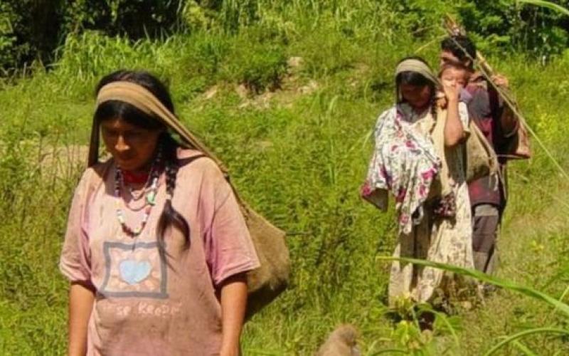 راز زندگی افراد قبیله‌ای که سالم‌ترین قلب‌های دنیا را دارند