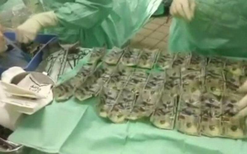 زن کلمبیایی ۹ هزار دلار خورد تا شوهرش تصاحب نکند (+عکس)