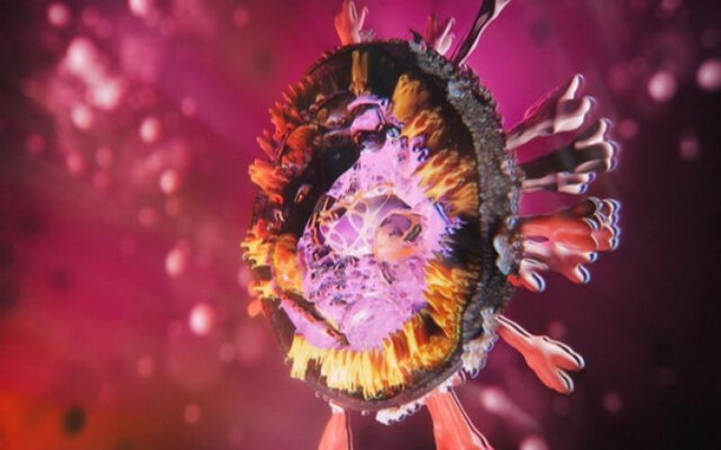 آیا ویروس کرونا خطرناک‌تر شده است؟