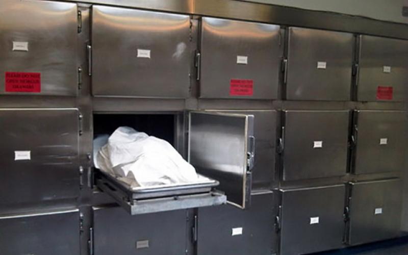 کار ناشایست یک پزشک با جنازه زنان و دختران در سردخانه