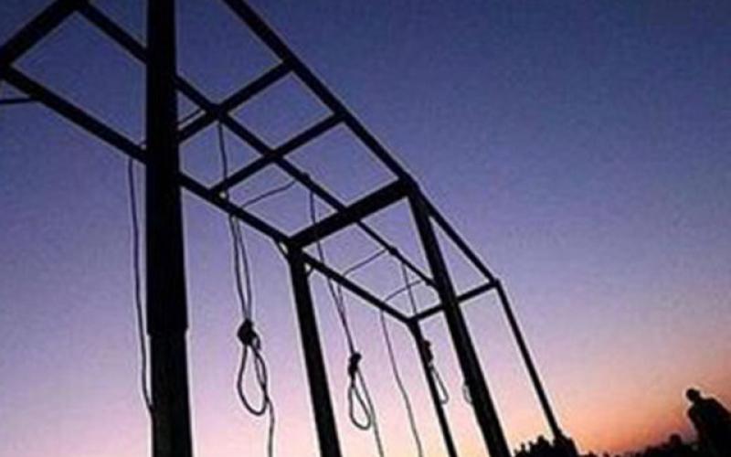 از رقیب عشقی تا اختلافات ملکی؛ سرنوشت جالب دو محکوم به اعدام