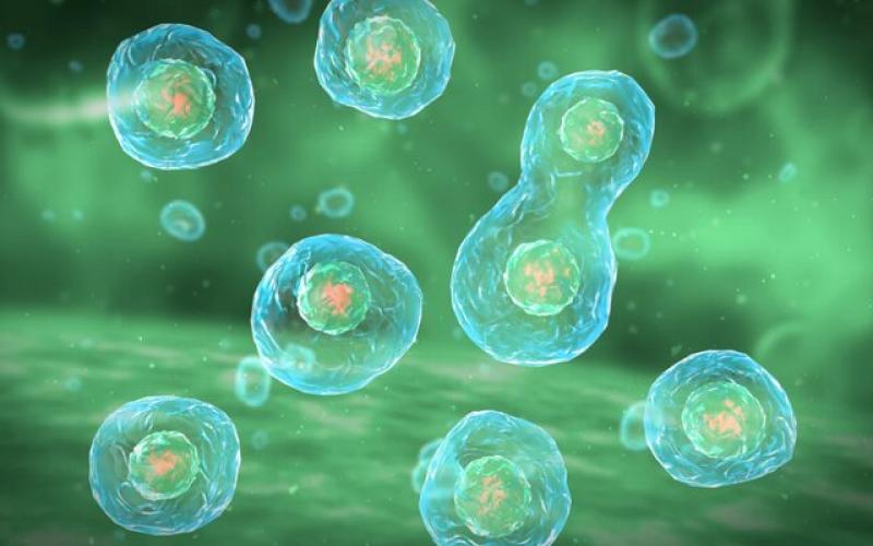 کشف سرنخی جدید از نحوه تشکیل حیات اولیه در زمین