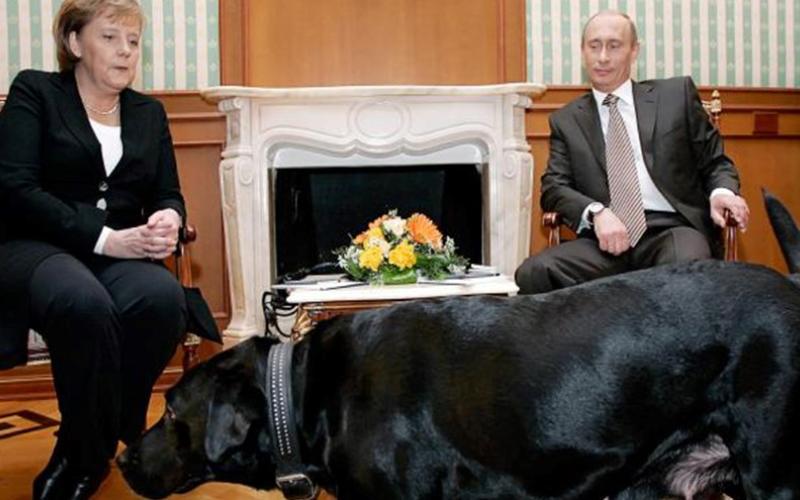 آنچه باید درباره سگ سیاه و عجیب پوتین بدانید