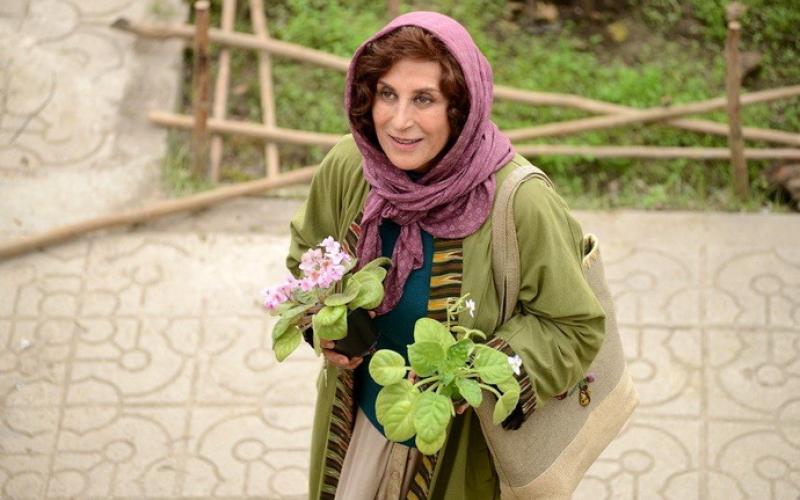 بازگشت فاطمه معتمدآریا با بنفشه آفریقایی