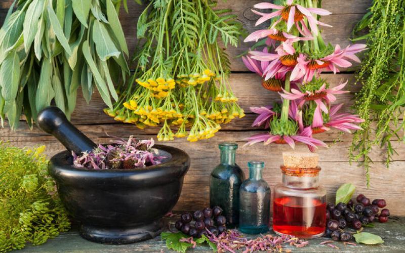 چه کسانی نباید پرتقال و نارنگی بخورند؟