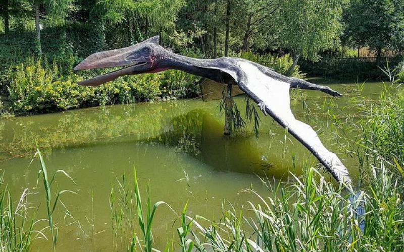 کشف فسیل «اژدهای مرگ»؛ پرنده‌ای مربوط به ۸۶ میلیون سال قبل