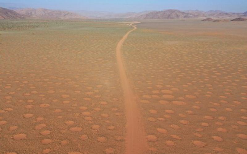 حل معمای دایره‌های جنی با کمک دانش باستانی بومیان