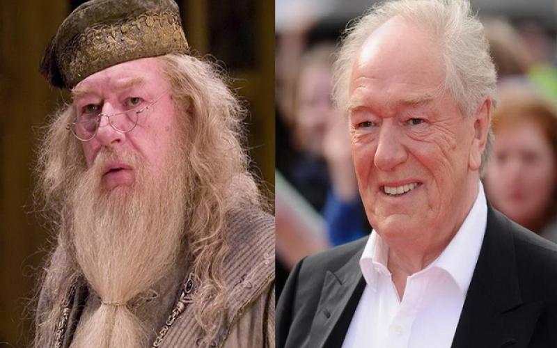 پرفسور دامبلدور درگذشت